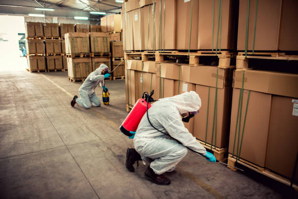Best Commercial Pest Control Services  in Maynardville, TN