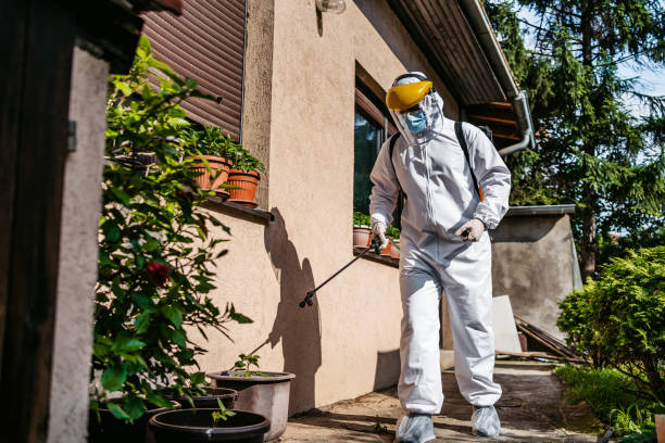 Best Residential Pest Control  in Maynardville, TN