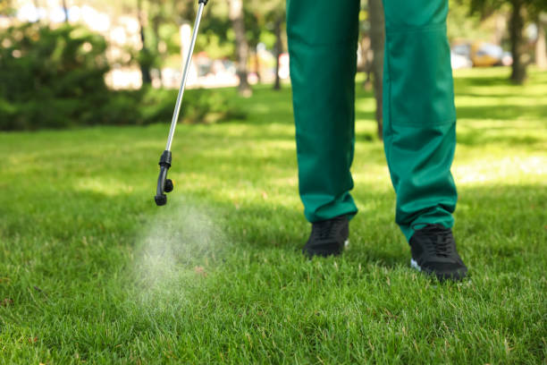 Pest Prevention Services in Maynardville, TN