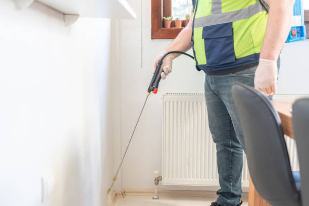 Best Affordable Pest Control Services  in Maynardville, TN