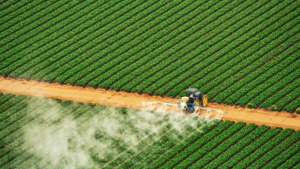 Best Pest Inspection Near Me  in Maynardville, TN