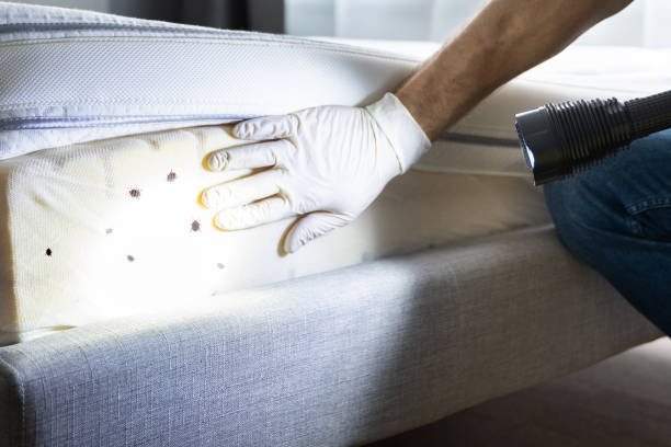 Best Pest Prevention Services  in Maynardville, TN