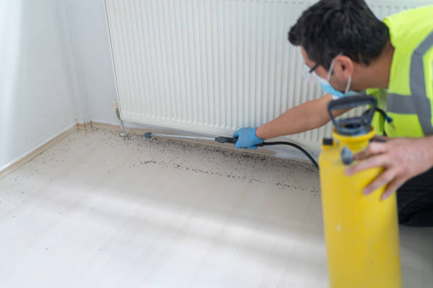 Reliable Maynardville, TN Pest Control Solutions